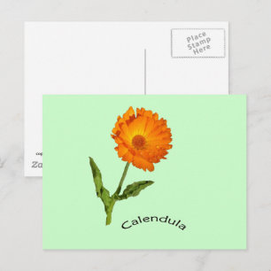 Postkarte - Ringelblume mit Etikett