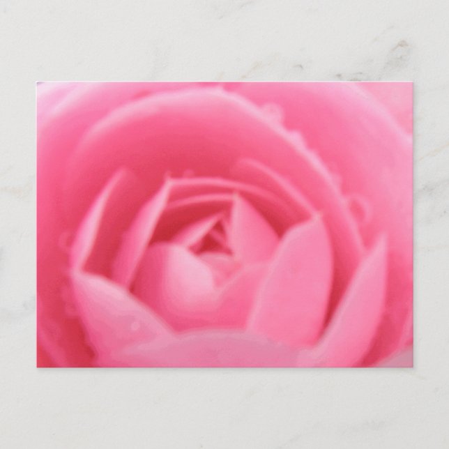 Postkarte Rosa Kamelien (Vorderseite)