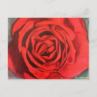 Postkarte - Rose
