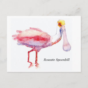 Postkarte Roseate Spoonbill