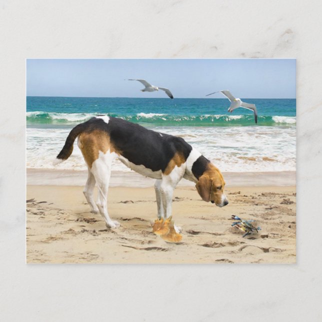 Postkarte "Sally & The Crab" (Vorderseite)