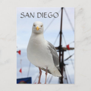 Postkarte San Diego, Seagull und Boot