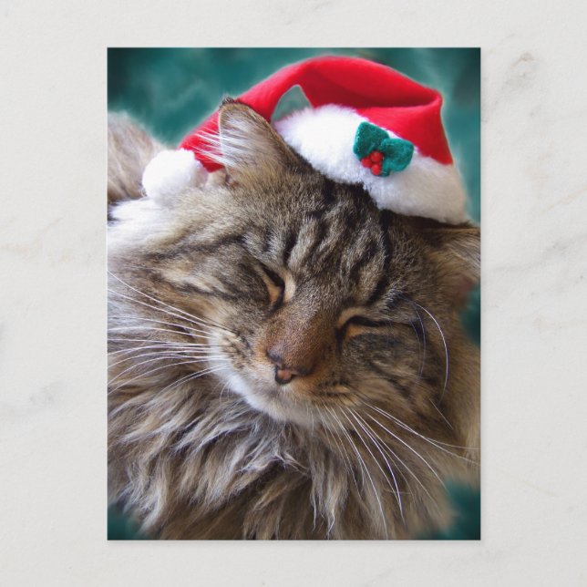 Postkarte "Santa Cat geweckt" (Vorderseite)