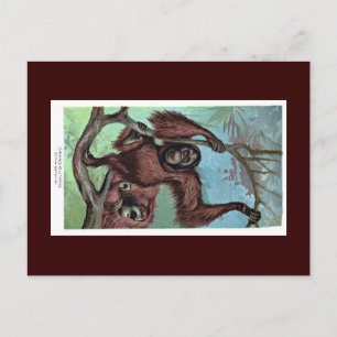 Postkarte - Schimpanse