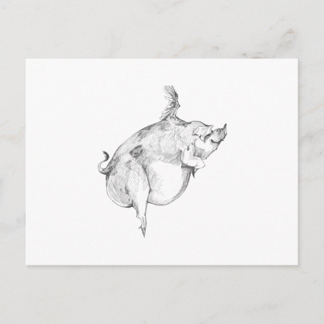 Postkarte 'Schweine Können Fliegen' (Vorderseite)