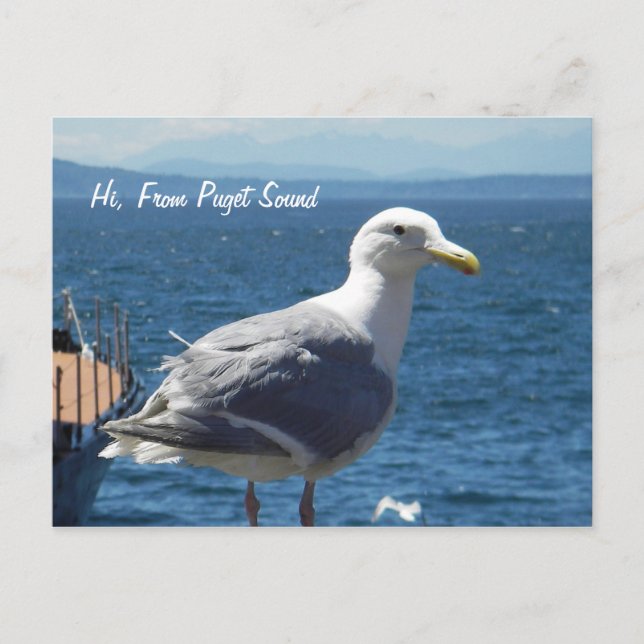 Postkarte: Seagull #1 Postkarte (Vorderseite)