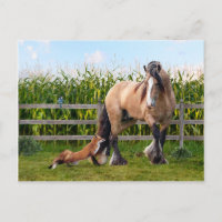 Postkarte "Secret Friends"