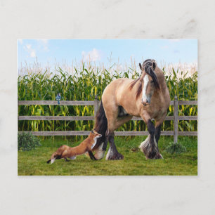 Postkarte "Secret Friends"