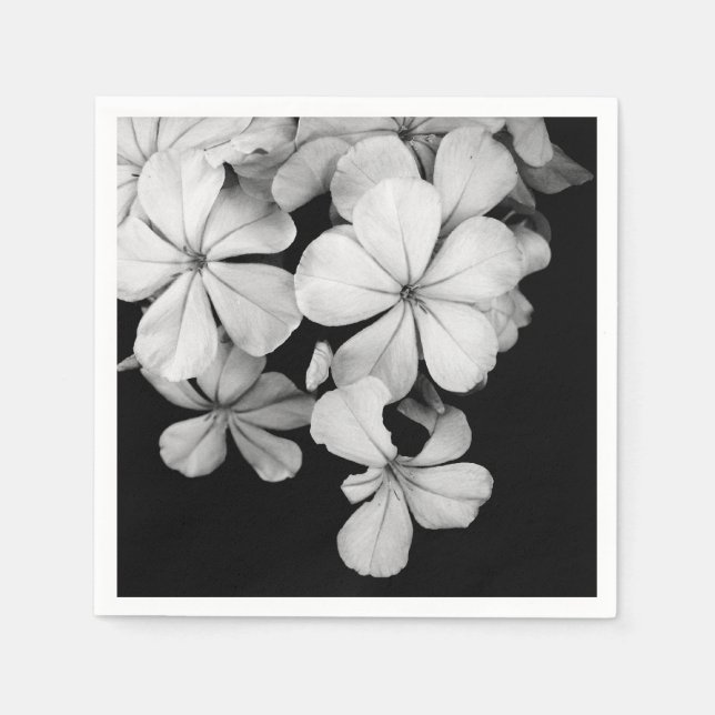 Postkarte Serviette (Vorderseite)