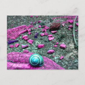 Postkarte "SnailShell"