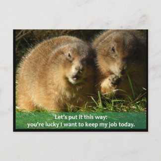 Postkarte: Snarky Prairie Dogs Postkarte