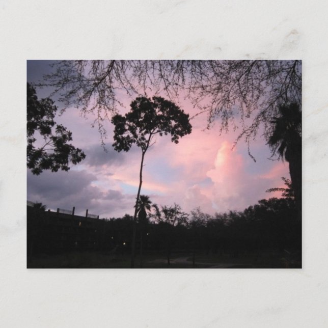 Postkarte: Sonnenuntergang-Welt Florida Postkarte (Vorderseite)