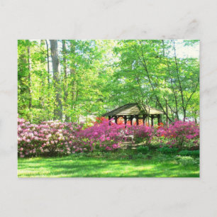 Postkarte, "Springtime at Toledo Botanical Garden" Postkarte