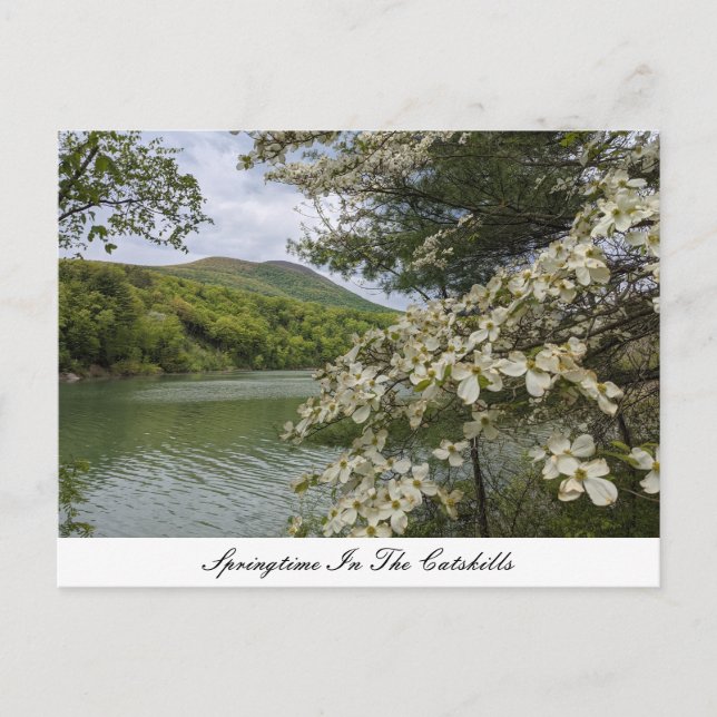 Postkarte "Springtime in Catskills" (Vorderseite)