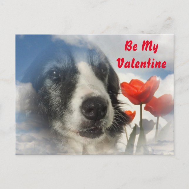 Postkarte Sprollie Be I Valentine (Vorderseite)