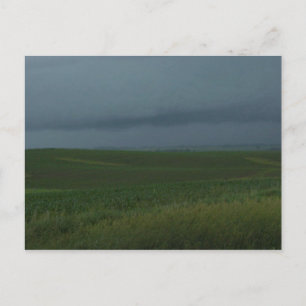 Postkarte Stormy-Feld