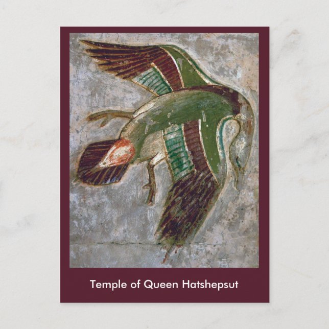 Postkarte: Tempel der Königin Hatshepsut Postkarte (Vorderseite)