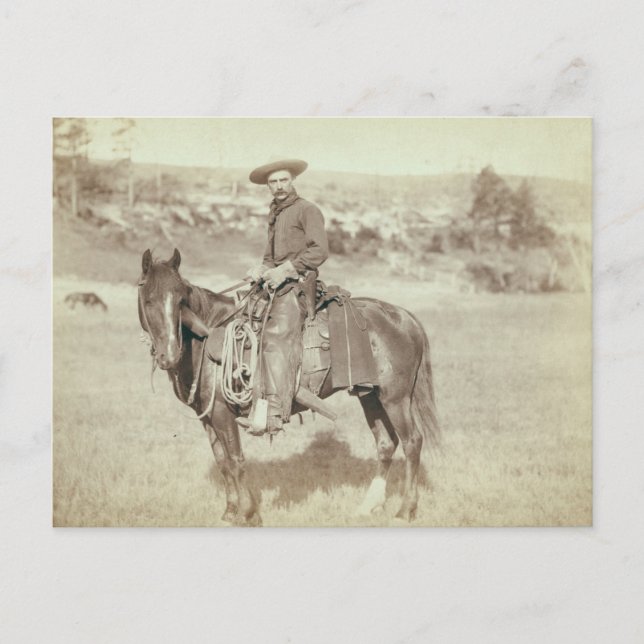 Postkarte "The Cow Boy" (Vorderseite)
