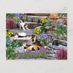 Postkarte "The Rock Garden"