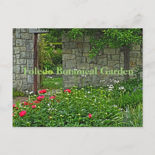 Postkarte, TOLEDO BOTANISCHER GARTEN Postkarte (Vorderseite)
