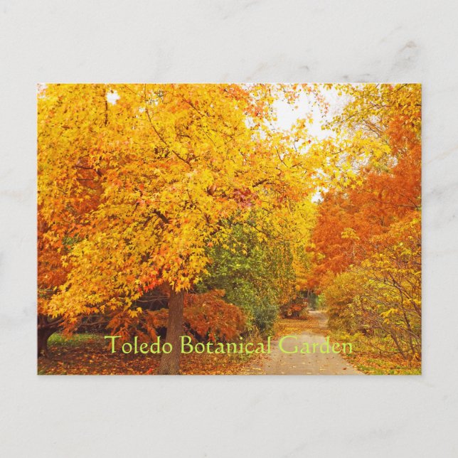 POSTKARTE/TOLEDO-KARTENPFAD/AUTUMENPFAD POSTKARTE (Vorderseite)