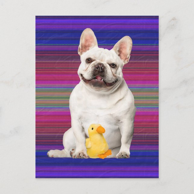 Postkarte "Tuffy McTuggs" (Vorderseite)