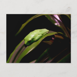 Postkarte "Verstecken in Schlichter Sicht"