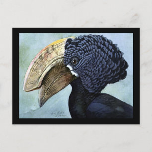Postkarte-Vintage Chicago Art-Abyssinian Vögel 16 Postkarte