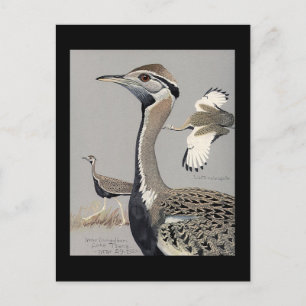 Postkarte-Vintage Chicago Art-Abyssinian Vögel 4 Postkarte