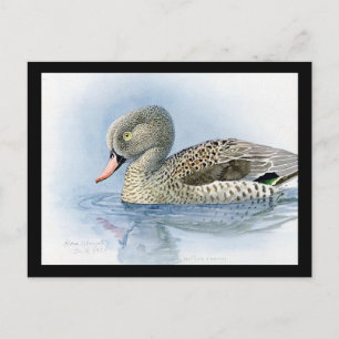 Postkarte-Vintage Chicago Art-Abyssinian Vögel 7 Postkarte