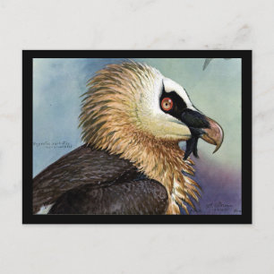 Postkarte-Vintage Chicago Art-Abyssinische Vögel 1 Postkarte