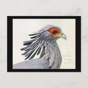 Postkarte-Vintage Chicago Art-Abyssinische Vögel 1 Postkarte