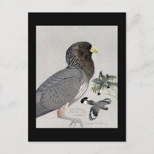 Postkarte-Vintage Chicago Art-Abyssinische Vögel 1 Postkarte