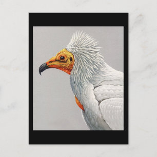 Postkarte-Vintage Chicago Art-Abyssinische Vögel 3 Postkarte
