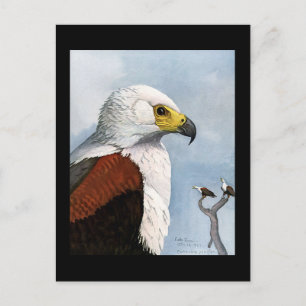 Postkarte-Vintage Chicago Art-Abyssinische Vögel 9 Postkarte