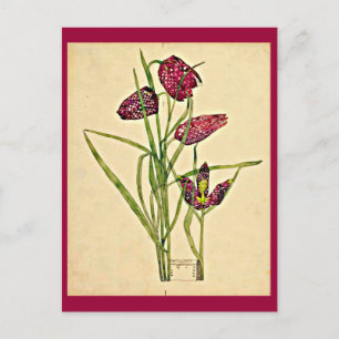 Postkarte - Vintage Kunst - Charles Rennie Mackint