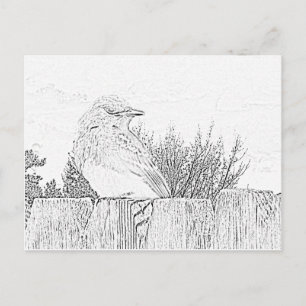 Postkarte - Vogel auf Zaun bis Farbe