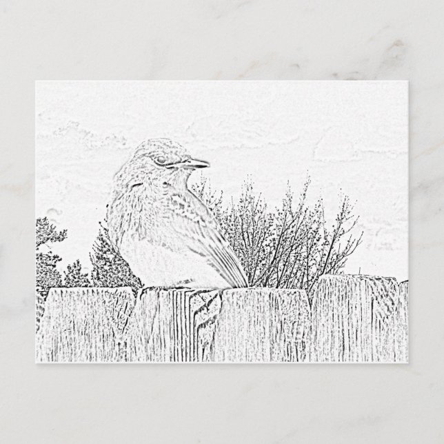 Postkarte - Vogel auf Zaun bis Farbe (Vorderseite)