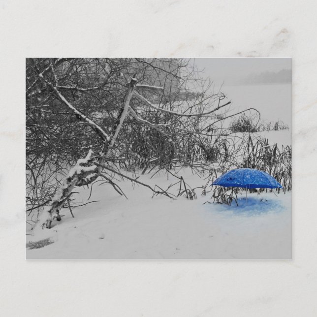 Postkarte - vom Schirmlein auf dem Eis (Vorderseite)