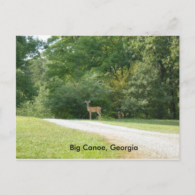 Postkarte von Big Canoe, Georgia (Vorderseite)