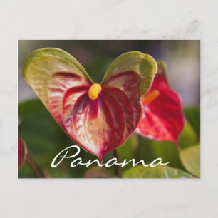 Postkarte von Boquete, Panama