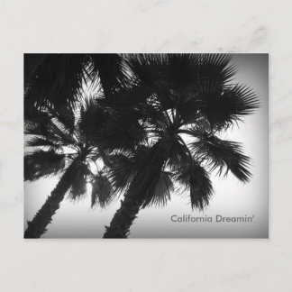 Postkarte von California Dreamin' Palmen