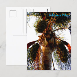 Postkarte von California Palms