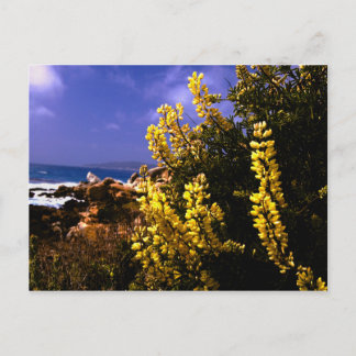 Postkarte von Kalifornien