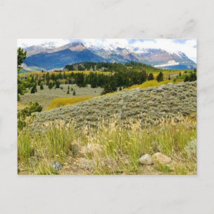Postkarte von Montana