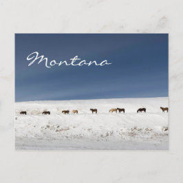 Postkarte von Montana