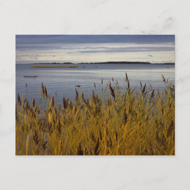 Postkarte von Ostrobothnia CC0076 (Vorderseite)