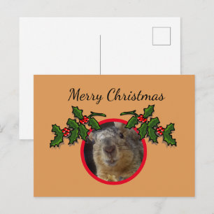 Postkarte - Weihnachtsgruß Eichhörnchen