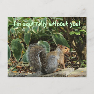 Postkarte, wenn jemand Vermisst ist Postkarte