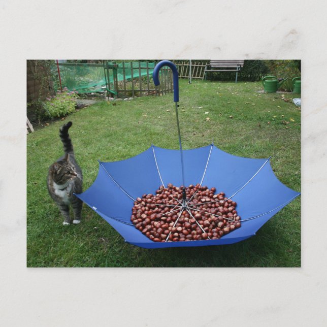 Postkarte - wer ist du? (Vorderseite)